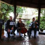 Guitarrista cellista y violinista en evento swiss travel